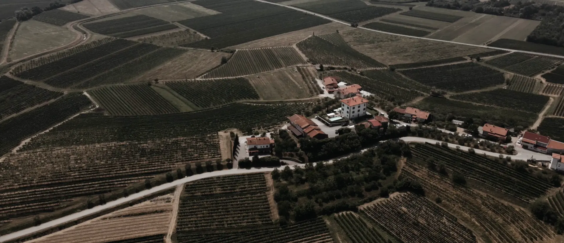 Pogled iz drona na vinograde in poročno posestvo